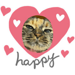 マロンとトロミ