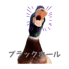 ぴーたんスタンプ1