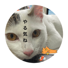 日常で使おう！一言スタンプ