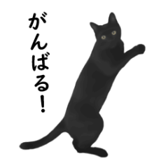 使いやすい黒猫のシンプルスタンプ