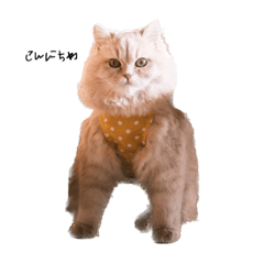 しらたまスタンプ1号