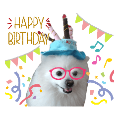 ポメラニアン颯太  日々のあいさつ・年行事