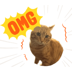 ゆりげのスタンプ