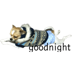 こてつくん毎日のスタンプ