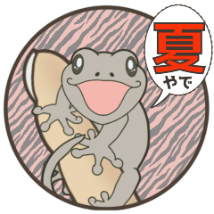 可愛い顔して毒舌なヤモリ☆夏やで！