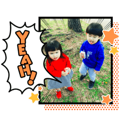 きのこーずの日常