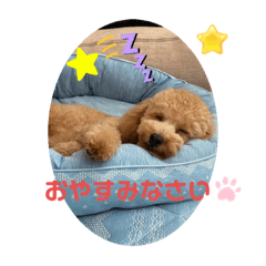 なつゆきは可愛い