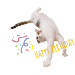 ゆずまるららスタンプ