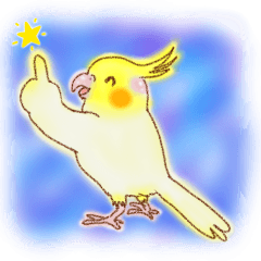 オカメインコの、りんごちゃんとお友達６