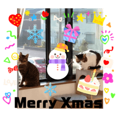 ！！ニャンコたち！！