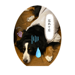 べるのいちにち