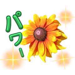 賑やか！おはなちゃんスタンプ