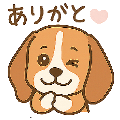 ビーグルやんちゃ犬　あめり