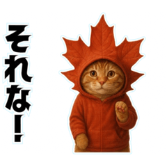 ❤︎茶虎の秋❤︎……….