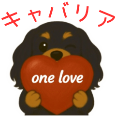 Kuu-chan's Life 2 Black & Tan Cavalier