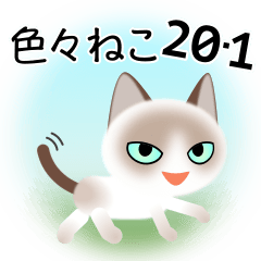 色々な猫20-1 短毛-白に茶柄