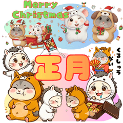 ジューク＆モッチ　クリスマス♡正月