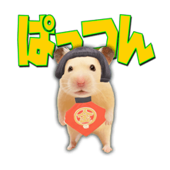 HamPacino（ハムパチーノ）5