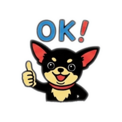 黒チワワの日常会話