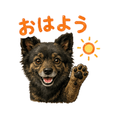 くまちゃん｜南国の日常