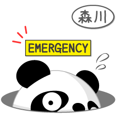 森川専用 Mr.パンダ [ver.2]