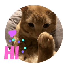 まるとパーチャ スタンプ