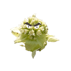 ふきのとうさんスタンプ