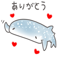 シンプル サメ 日常会話 敬語