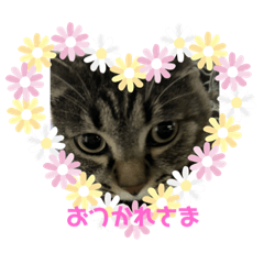 ヴィーナスさま