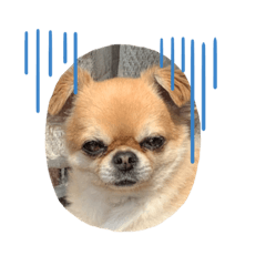 そら、りく、ふうた