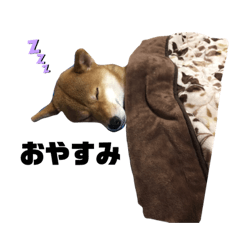 柴犬ももちゃんスタンプ