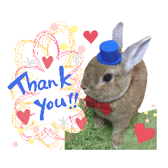 うさぎのしらす