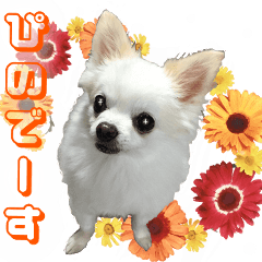 ぴのの使いやすいスタンプ