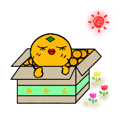 みかんみかん