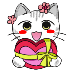 アメショーの行事・イベント