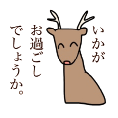 ていねいな鹿ちゃん
