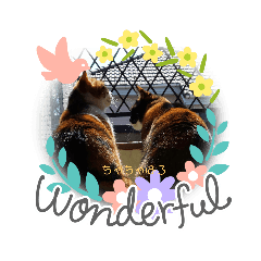 ちゃちゃばろすたんぷ