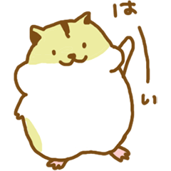 ハムスターのはじめちゃん