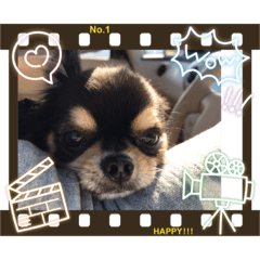 コタくんからのメッセージ