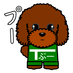 かわいいトイプードル。