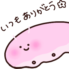 カラフルなまこ虫☆