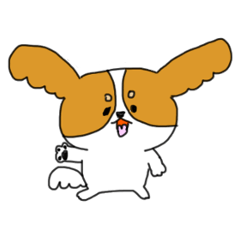 みーたろのいちにち