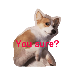 コーギー犬ククの英語スタンプ