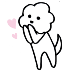 ビションフリーゼのポポロ