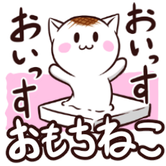 おもちねこ！