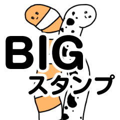 チンアナゴ◎ニシキアナゴ◎のBIGスタンプ