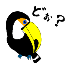 オオハシたちとその仲間