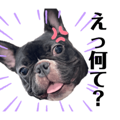 フレブル　Mr.JAKE