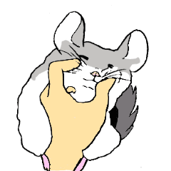 癒しのチンチラ４０連発。