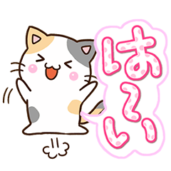 お茶目な三毛猫【基本編】